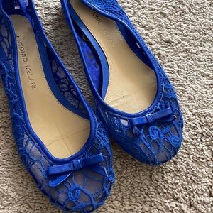 Blue moccasin